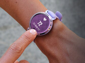 Garmin rilascia raramente nuovi aggiornamenti per il Lily 2. (Fonte: Garmin)