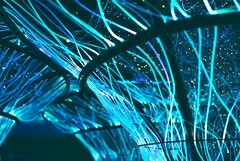 I cavi in fibra ottica possono essere utilizzati anche per creare opere d&#039;arte. (Fonte: Pexels/Georgie Devlin)