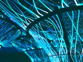 I cavi in fibra ottica possono essere utilizzati anche per creare opere d'arte. (Fonte: Pexels/Georgie Devlin)