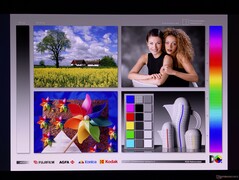 Ampi angoli di visione OLED
