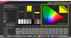 CalMAN ColorChecker (profilo: P3, spazio colore di destinazione: P3)