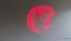 Dangbei MP1 Qualità d'immagine massima luce diurna