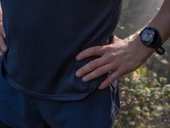 Garmin ha rilasciato la versione software 20.29 per il Forerunner 255. (Fonte: Garmin)