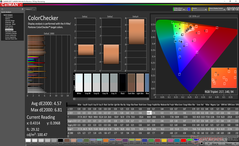 ColorChecker prima della calibrazione