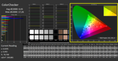 CalMAN - Color Checker (calibrato)