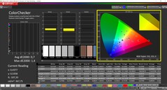 CalMAN ColorChecker calibrato (spazio colore DCI-P3)