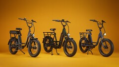 La e-bike utility RadRunner Max Cargo è dotata di un motore posteriore da 750 W (Fonte: Rad Power Bikes)