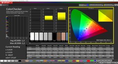 CalMAN ColorChecker calibrato (spazio colore di destinazione: AdobeRGB)