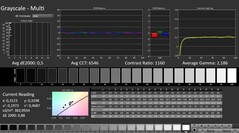 CalMAN: scala di grigi (calibrata)