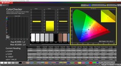 CalMAN ColorChecker calibrato (spazio colore target P3)