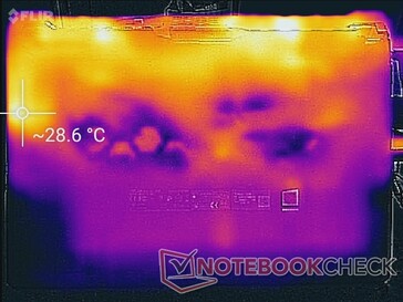 Sistema in idle (Lato inferiore)