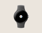 L'app Google Home sul Pixel Watch. (Fonte: Google)