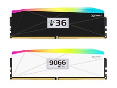 Varianti bianche e nere dei moduli XFinity+ con schermi OLED. (Fonte: V-color)