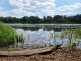 Samsung Galaxy S21 Ultra | modalità foto