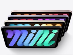 Alcuni utenti sono irritati dal problema non risolto dello scorrimento a gelatina del tanto atteso iPad mini 6 del 2021 (Immagine: Apple)