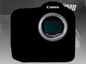 Sebbene siano trapelate numerose notizie sulla Canon EOS R1, le specifiche esatte sono ancora un mistero. (Fonte: Canon - modifica)