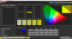 CalMAN: Saturazione - spazio colore target AdobeRGB (calibrato)