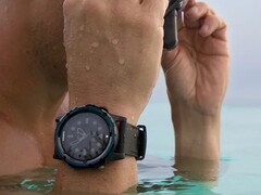 L'applicazione Garmin Dive versione 2.17 è ora disponibile. (Fonte: Garmin)