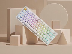 Tastiera da gioco wireless Lemokey P2 HE in bianco con copritasti lucidi. (Fonte: Lemokey)