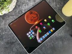 Oppo Pad 4 Pro in recensione. (Fonte: Marcus Herbrich/Notebookcheck)