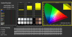 CalMAN: ColorChecker