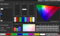 Spazio colore CalMAN sRGB