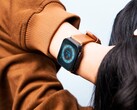 La durata della batteria di Apple Watch è attualmente un problema per molti utenti. (Immagine: Sayan Majhi)