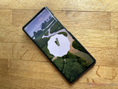 L'LG Wing ha ricevuto Android 12, il suo secondo importante aggiornamento del sistema operativo. (Fonte: NotebookCheck)