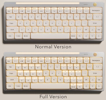 La tastiera a doppia azione Hesper64(100) è disponibile in due layout. (Fonte immagine: Nics Tek)