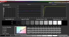 CalMAN - Scale di grigi calibrate (spazio colore target AdobeRGB)