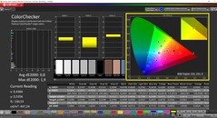 CalMAN ColorChecker (profilo: P3 Photography, spazio colore di destinazione: P3)