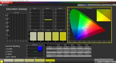 Saturazione CalMAN calibrata (spazio colore di destinazione AdobeRGB)