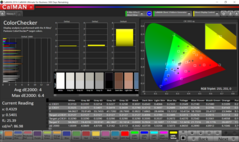 ColorChecker (gamma di colore target P3) – misurata da angolo di 45 gradi