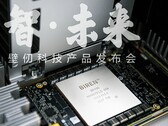 Il BR100 sembra essere grande quanto l'A100 di Nvidia (fonte: EETrend)