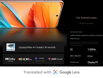 Dettagli del display (Fonte immagine: OnePlus)