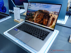 I dettagli sui prezzi e sulla disponibilità della serie GeekBook sono ancora segreti. Nella foto: il modello X14 Pro. (Fonte: Notebookcheck)