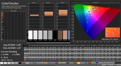 CalMAN: ColorChecker (calibrato)