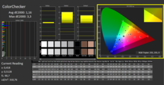 CalMAN - ColorChecker (calibrato)