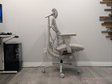 Diritto del LiberNovo Omni.