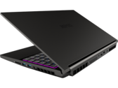 Recensione del computer portatile gaming Schenker XMG Neo 15 - la RTX 3080 con 165W TGP assicura punteggi elevati
