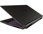Recensione del computer portatile gaming Schenker XMG Neo 15 - la RTX 3080 con 165W TGP assicura punteggi elevati