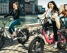 La bicicletta elettrica ENGWE L20 ha un'autonomia di assistenza fino a 90 miglia (~140 km). (Fonte: ENGWE)