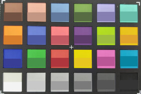 Colori ColorChecker. Colore di riferimento nella metà inferiore di ogni quadrato.