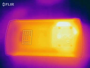 Heat map - back