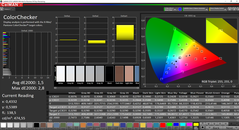 CalMAN ColorChecker (spazio colore target: P3)