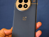 Il OnePlus 13 potrebbe essere disponibile a livello globale nell'accattivante finitura blu mostrata qui. (Fonte immagine: @sondesix)