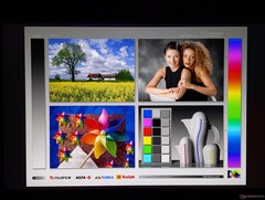 Ampi angoli di visione IPS