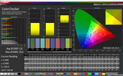 CalMAN precisione del colore di fabbrica (sRGB)