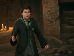I fan temono che il loro personaggio in Hogwarts Legacy 2 possa essere messo in ombra da Harry Potter.