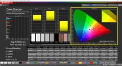 CalMAN ColorChecker (profilo: DisplayP3, spazio colore di destinazione: P3)